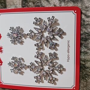 Snow flake earrings